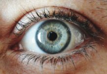 What Is The Rarest Eye Color What Is The Rarest Eye Color