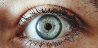What Is the Rarest Eye Color? Green, Gray, Amber & More What Is The Rarest Eye Color