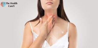 What Are the 7 Functions of the Respiratory System? What Are the 7 Functions of the Respiratory System?