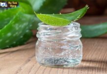 Does Aloe Vera Gel Expire? Here’s What You Need to Know Does Aloe Vera Gel Expire? Here's What You Need to Know