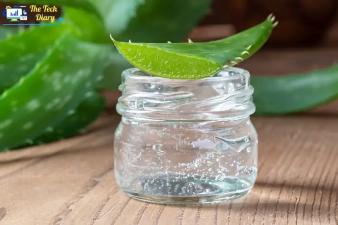 Does Aloe Vera Gel Expire? Here's What You Need to Know