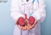 Kidney Scarring: Causes, Symptoms, and Treatment Options Kidney Scarring: Causes, Symptoms, and Treatment Options