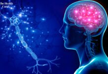 Nervous System Dysregulation: Causes and Treatment Options Nervous System Dysregulation: Causes and Treatment Options