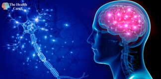 Nervous System Dysregulation: Causes and Treatment Options Nervous System Dysregulation: Causes and Treatment Options