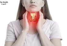 Normal Thyroid Size: Understanding the Average Measurements and Implications Normal Thyroid Size: Understanding the Average Measurements and Implications
