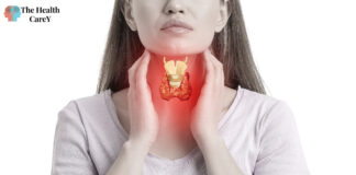 Normal Thyroid Size: Understanding the Average Measurements and Implications Normal Thyroid Size: Understanding the Average Measurements and Implications
