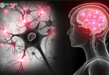 Dysregulated Nervous System: Causes, Symptoms, and Treatment Options Dysregulated Nervous System: Causes, Symptoms, and Treatment Options