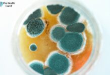 10 Warning Signs of Mold Toxicity: Recognizing the Symptoms 10 Warning Signs of Mold Toxicity: Recognizing the Symptoms