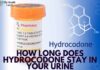 How Long Does Hydrocodone Stay in Your Urine: A Comprehensive Guide How Long Does Hydrocodone Stay in Your Urine: A Comprehensive Guide