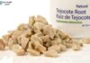 Tejocote Root: Benefits, Uses, and Side Effects