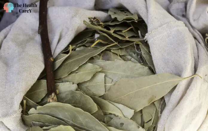 Benefits of Burning Bay Leaves: A Natural Way to Improve Your Health